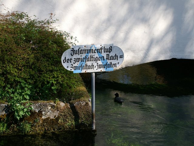 Schild mit Aufschrift Zusammenfluss der Zwiefalter Aach, steckt im Wasser